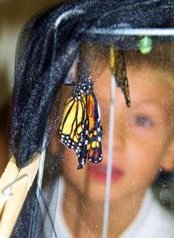 Monarch butterflies at Aquinas Montessori School