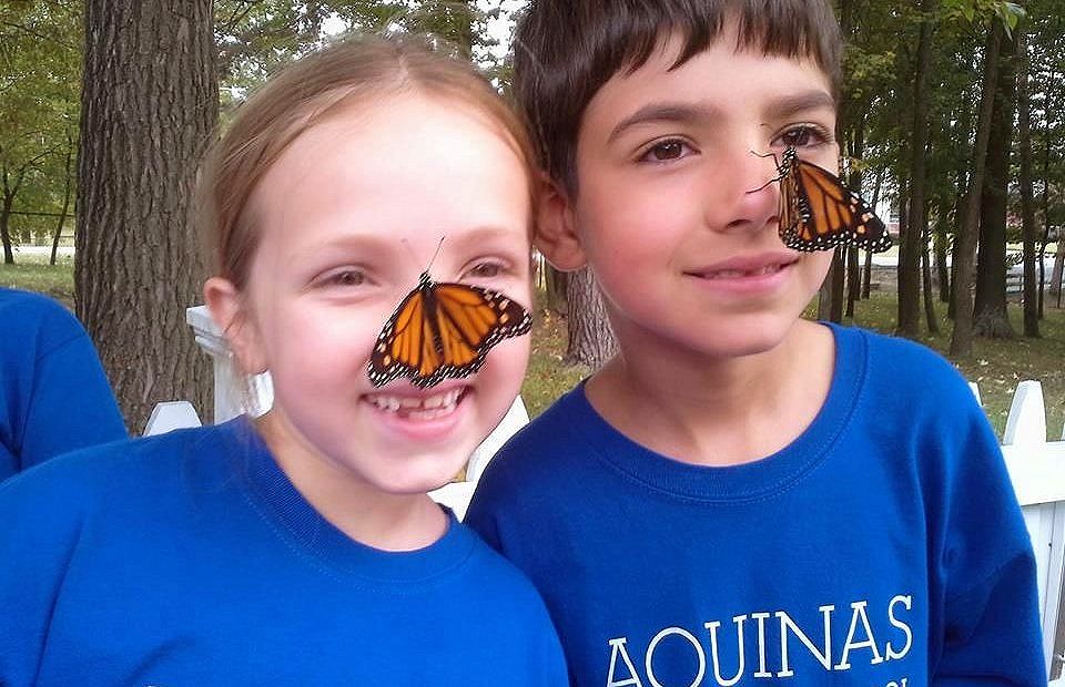 kids and monarchs